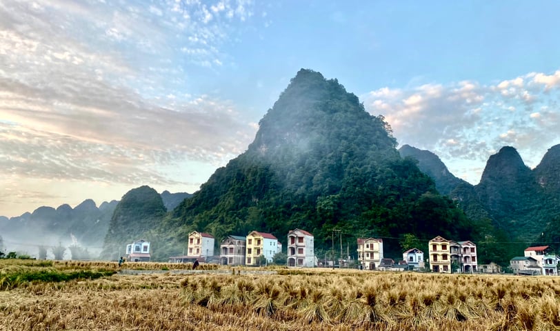 a field with a mountain in the background