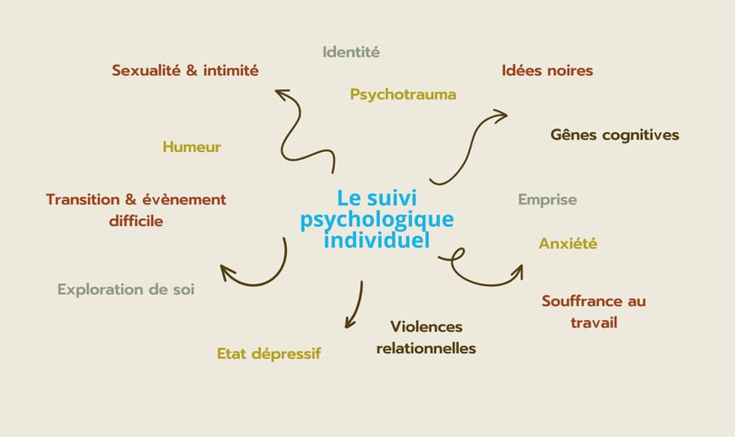 Schéma des thématiques prises en charge en suivi psychologique individuel. 