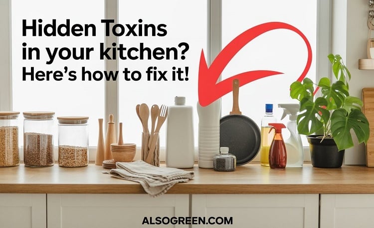 Eco-friendly kitchen with arrows pointing to hidden toxins like plastic and non-stick cookware, prom