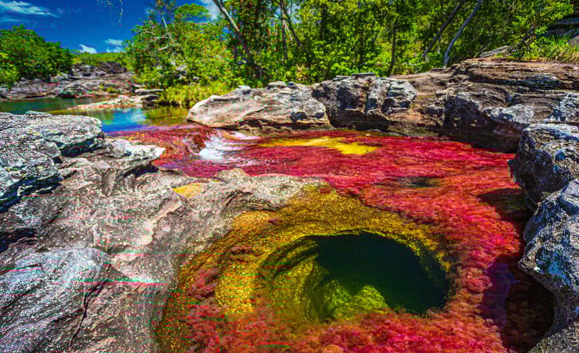 Caño Cristales en Colombia