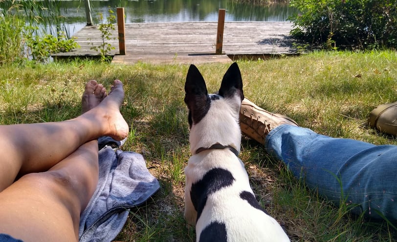 Dog parents relaxing with dog near lake