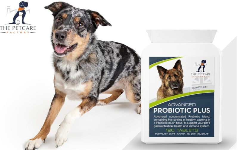 Advanced Probiotic Plus tablets with eco-friendly packaging