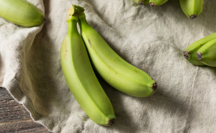 Banana verde, que é um dos alimentos que promovem uma microbiota intestinal saudável 