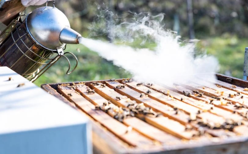 Der Smoker: Ein zentrales Werkzeug für ruhige und sichere Bienenarbeit