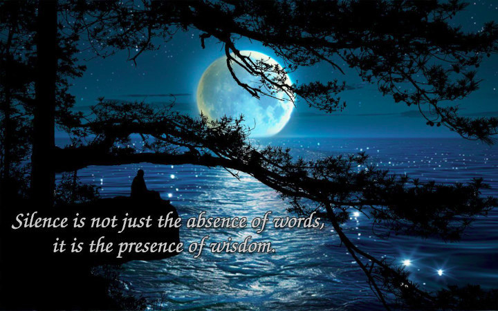 a person sitting on a ridg meditating with a tree silhouette by a spakling sea and the moon