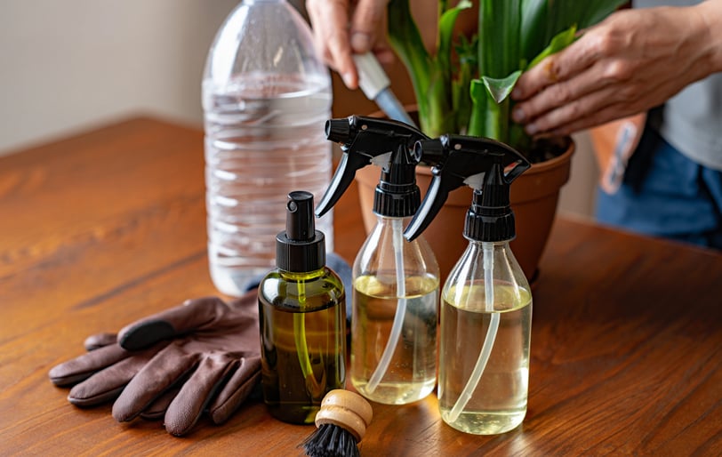 Kit de emergência para pragas: o que fazer nos primeiros sinais. Soluções rápidas e naturais para sa