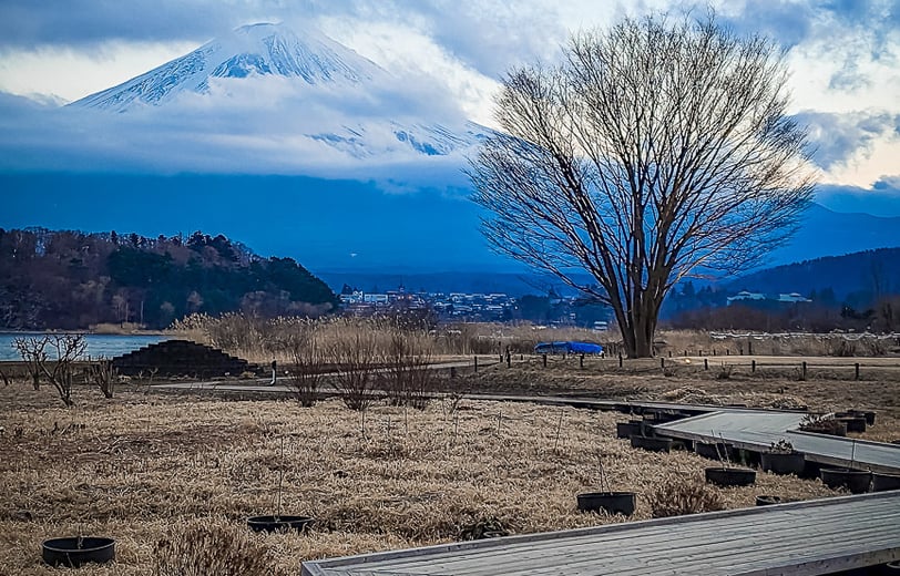 les meilleurs destinations où voyager au japon en 2025 guide complet itinéraire  sur mesure villes campagnes conseil