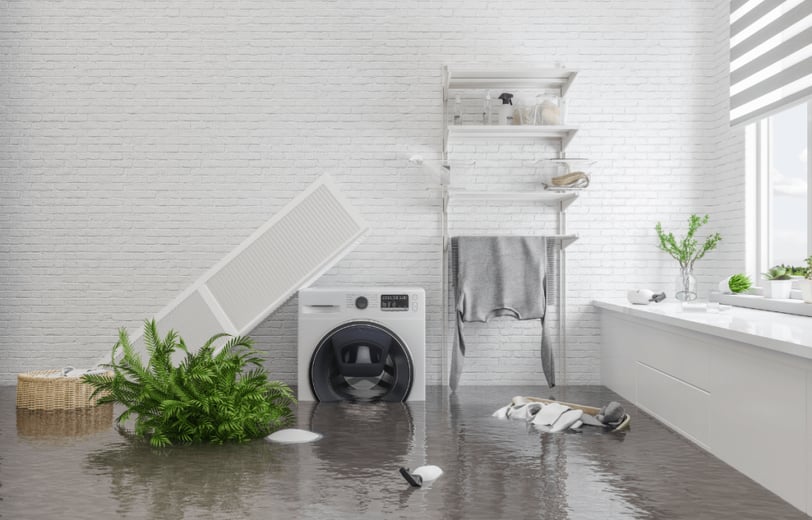 Flood Restoration Assessment for insurance claim
