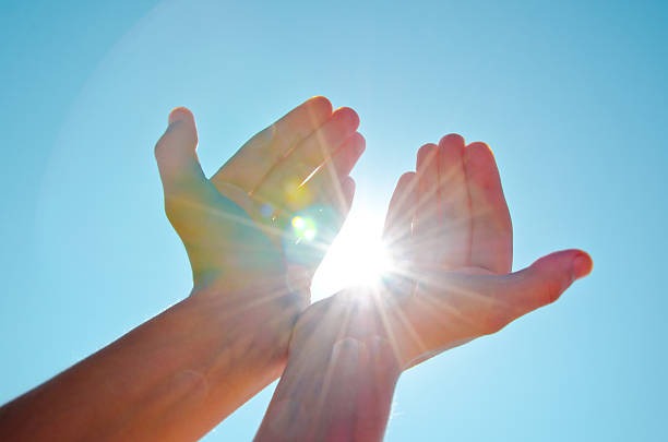 Embrace sustainability