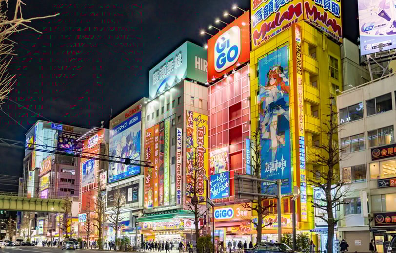 Akihabara for the otaku, anime and manga fans