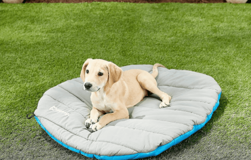 portable pet bed, a comfortable essential for pet friendly cabin rentals and camping