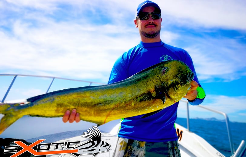 a man holding a fish fish on a boat