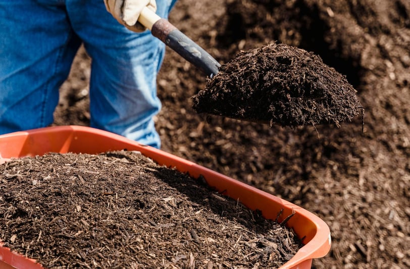 manure and compost for garden