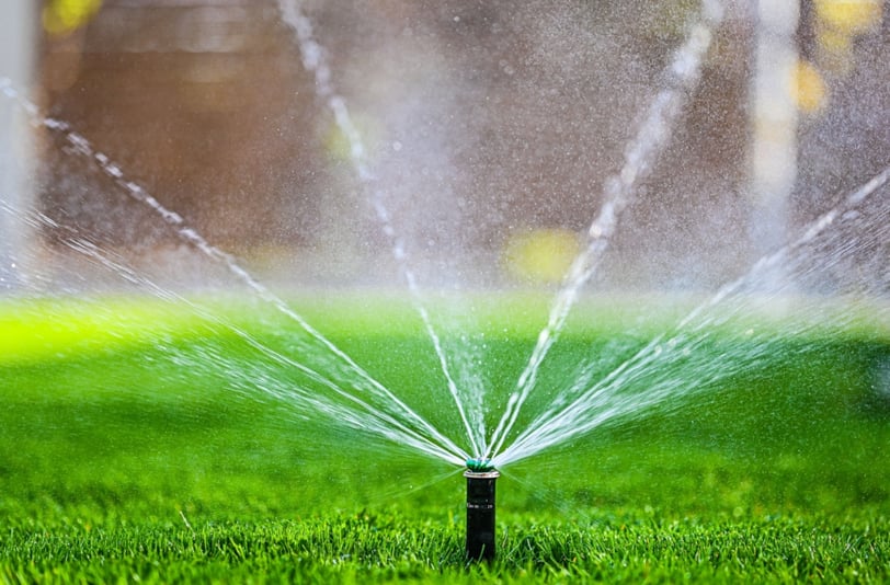 irrigation systems vs manual watering