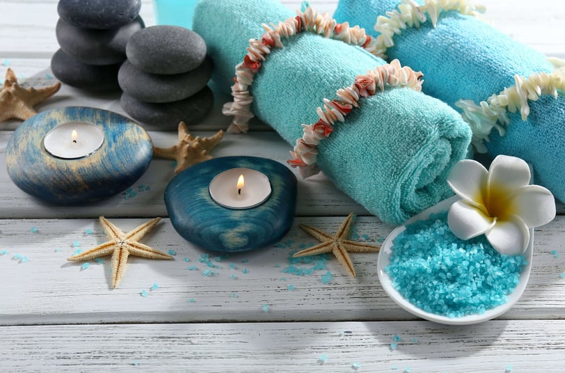 seashell decor
