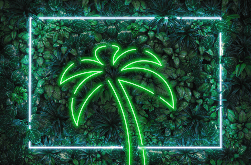 a neon green neon sign with a palm tree