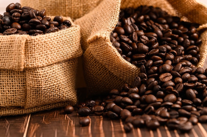 Fresh roasted Dominican coffee beans in burlap sacks on wooden table