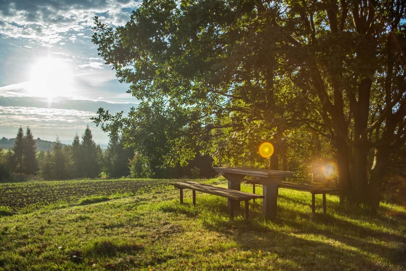burnout herstel rust wandelen natuur