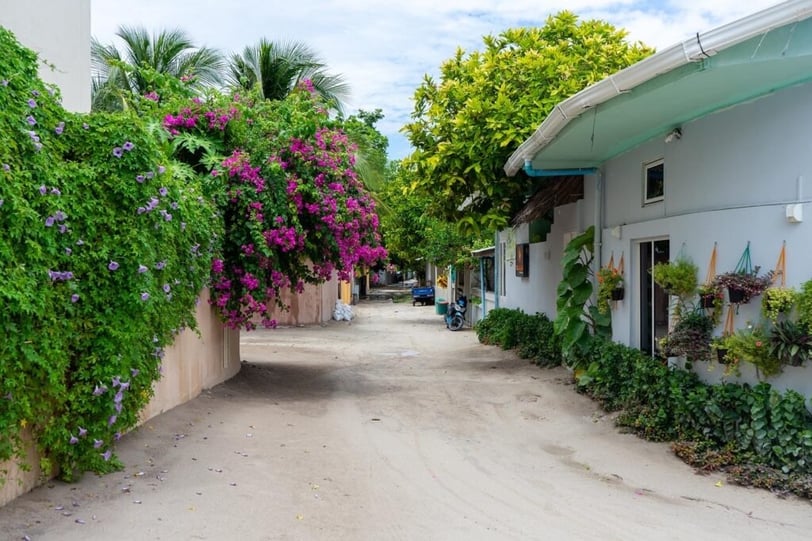a dirt road with a bunch of flowers on the side of the road