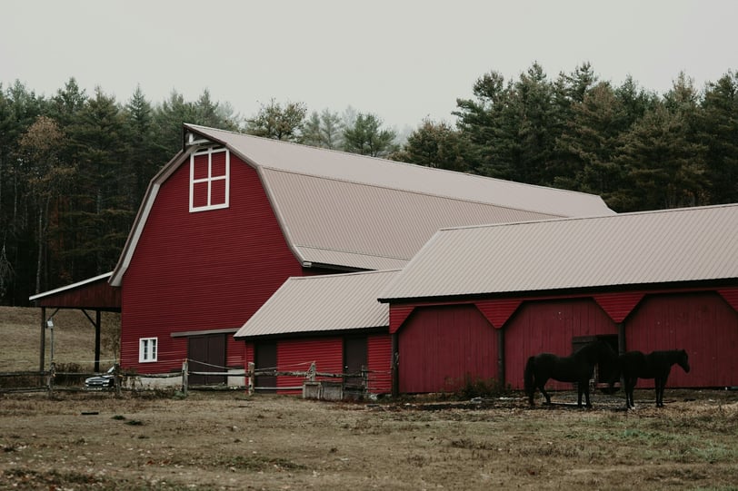 a red barn in the background