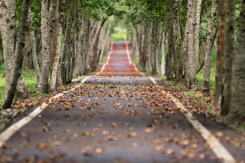 Fall, Best Time to Visit Bergen, Norway, for Sightseeing