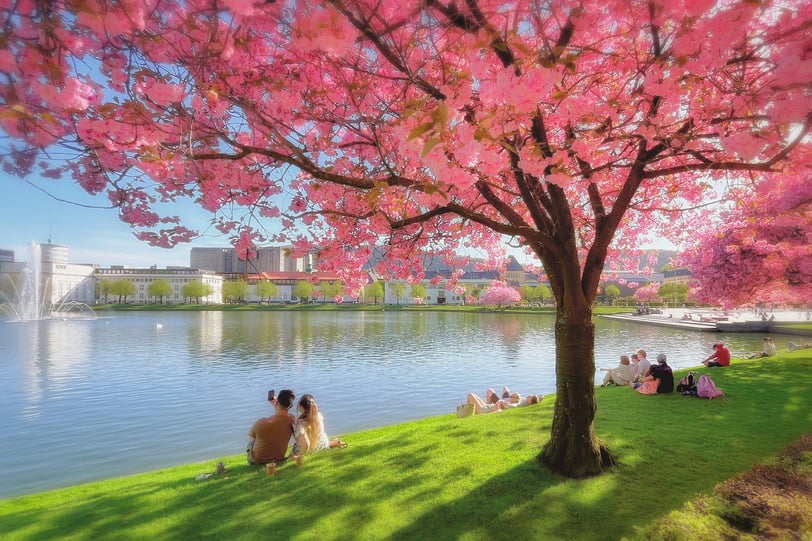 Spring, Best Time to Visit Bergen, Norway, for Sightseeing