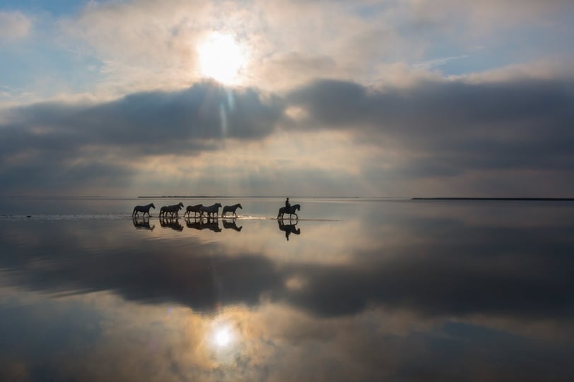 a group of horses walking across a lake at sunrise