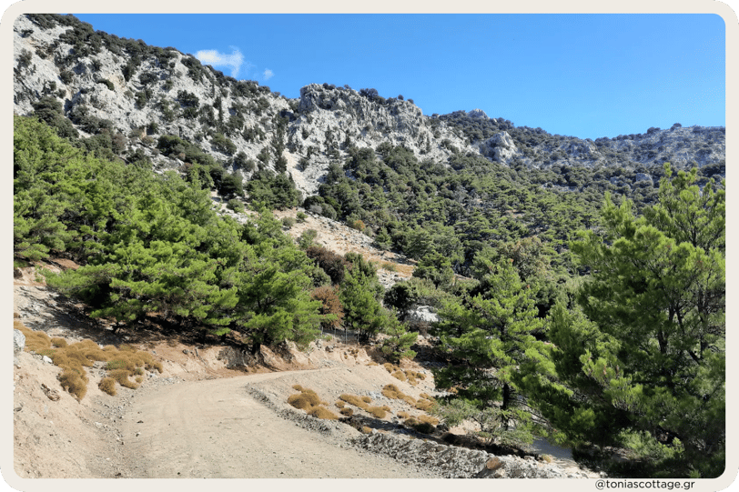 Kato Symi, a forest village in Crete