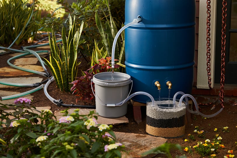 Reaproveitamento de água: como usar água da chuva, cinza e condensados para manter seu jardim verde 