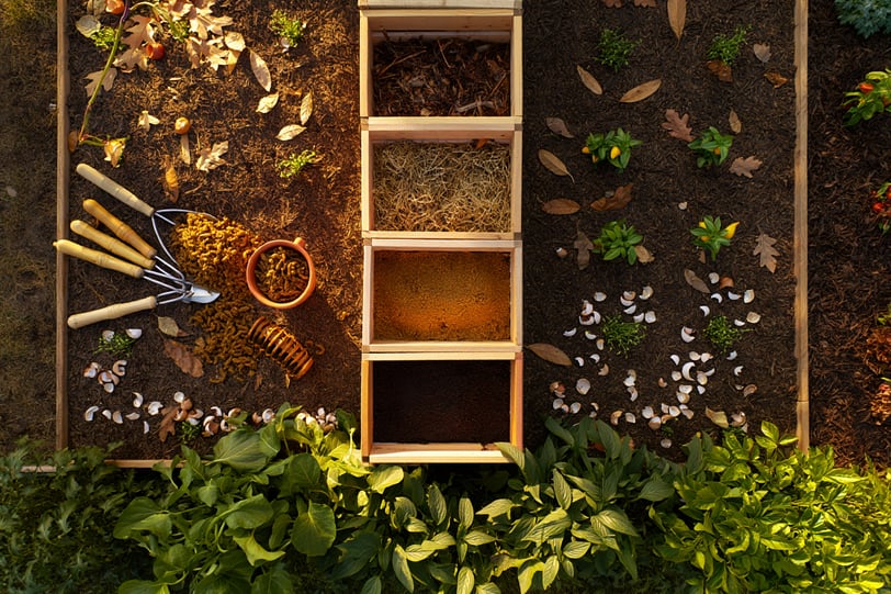 Terra fraca nunca mais: 7 soluções caseiras para turbinar o solo do seu quintal. Dicas práticas e ac