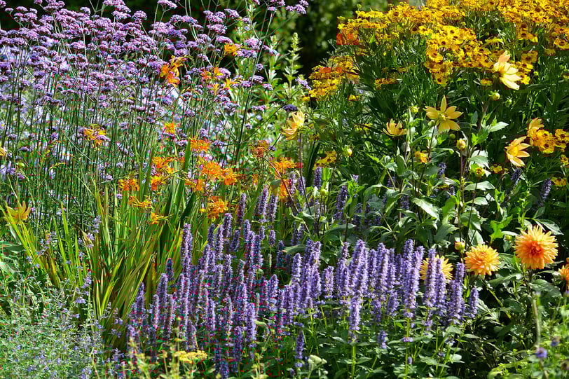 Flower boarder showing late summer display,