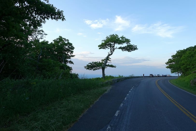 Shenandoah National Park near Fishersville Virginia