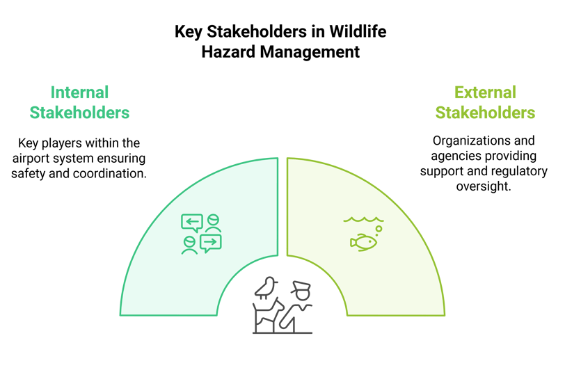 A graph showing the key stakeholders in wildlife hazard management