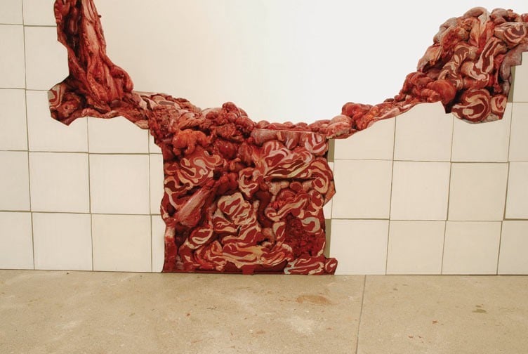 Pintura de azulejos quebrados revelando carne por baixo.