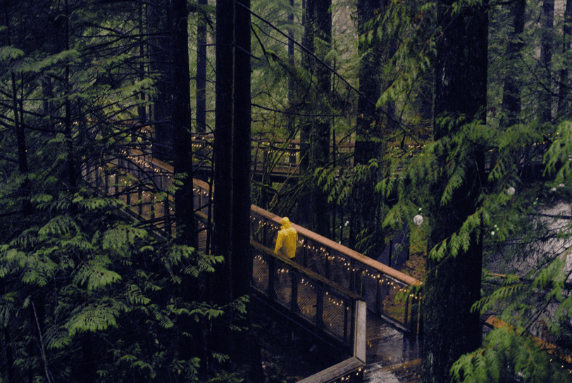 person in rainsuit walking on a wooden pave in a forrest