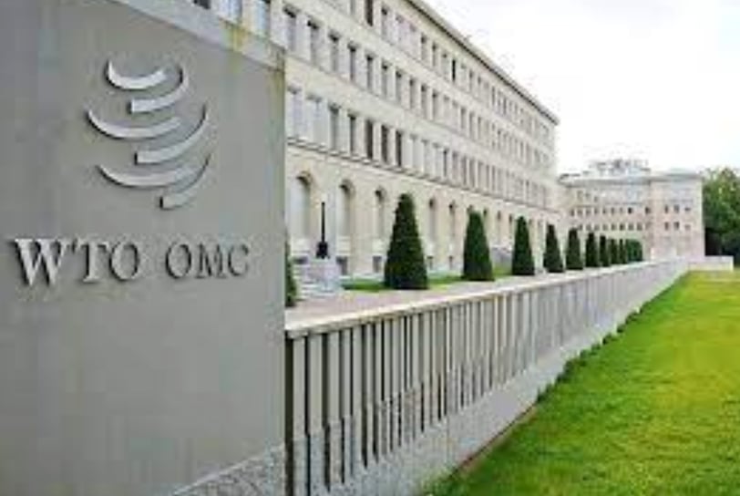 The WTO at a Crossroads: Navigating Trade Disputes, Protectionism, and the Path to Reform
