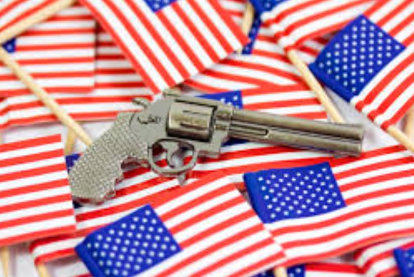 Unpacking Gun Violence: Can Red Flag Laws, Background Checks, and Community Solutions Curb the Crisis?