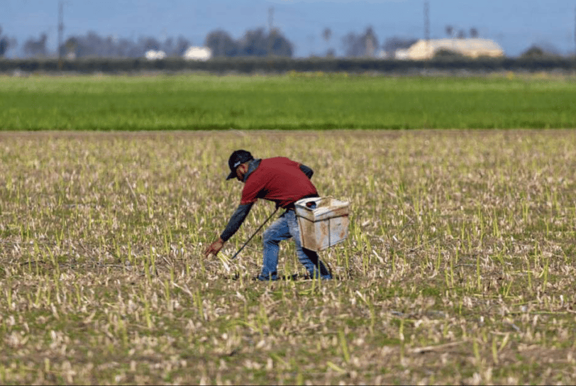 When Chinese Manufacturing Meets Small Town USA: A Tale of Jobs, Fears, and Democracy