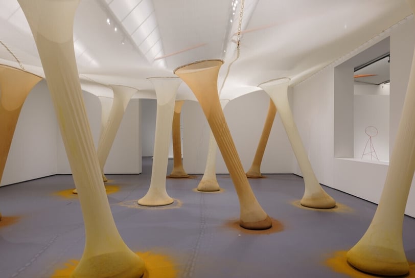 Instalação Ernesto Neto
