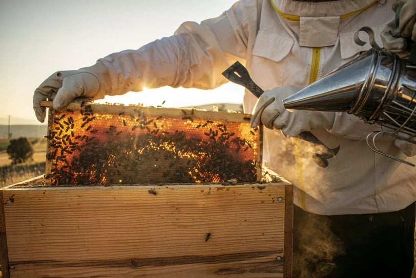 Mastering Advanced Hive Management