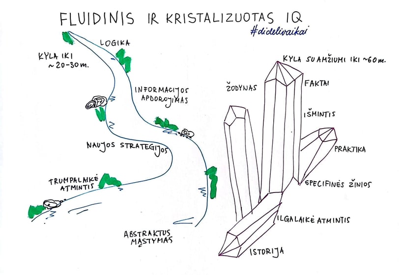 fluidinis ir kristalizuotas IQ