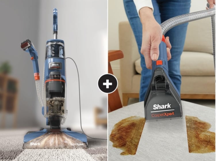 Shark CarpetXpert Deep Clean Carpet Cleaner in action