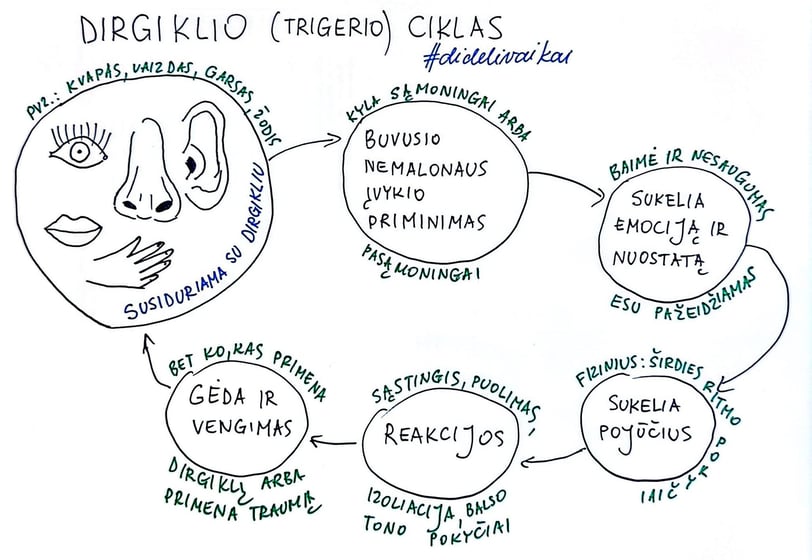 Dirgiklio ciklas dideli vaikai schema