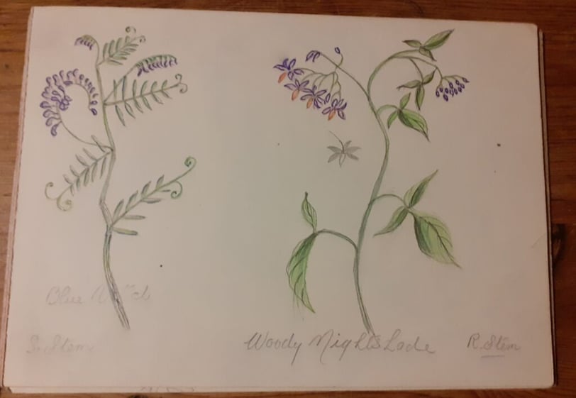 Wildflower painting