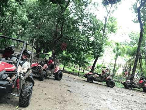 Buggies plus zipline and sloths