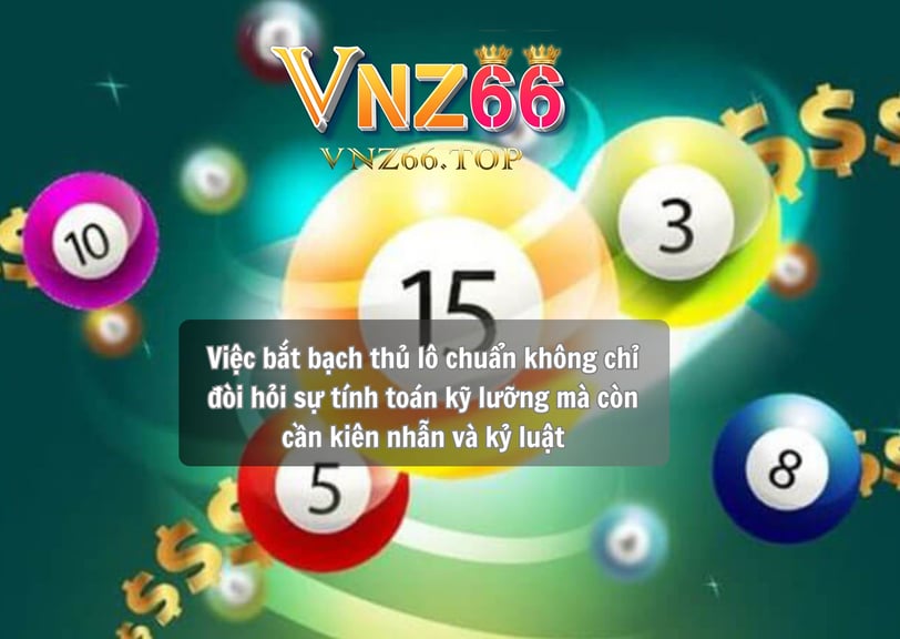 Cách Bắt Bạch Thủ Lô Chuẩn Hiệu Quả Tại Nhà Cái VNZ66