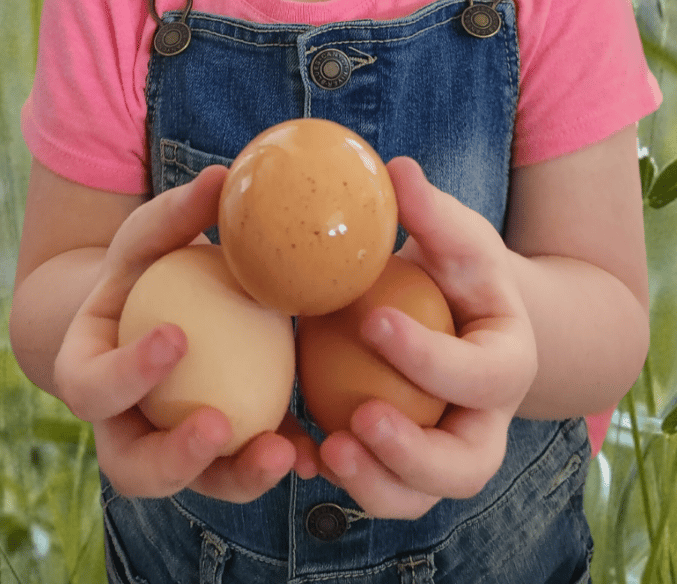 a little girl holding two eggs in her hands