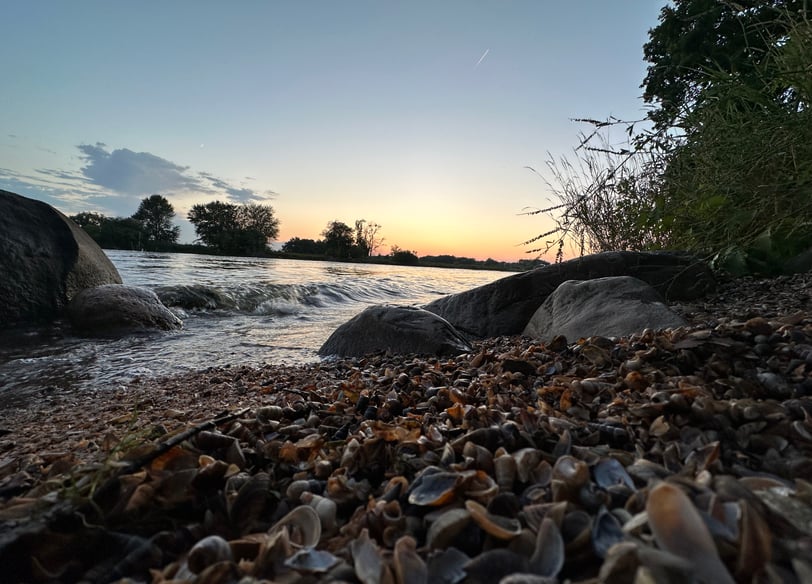 Calming Nature Fox River