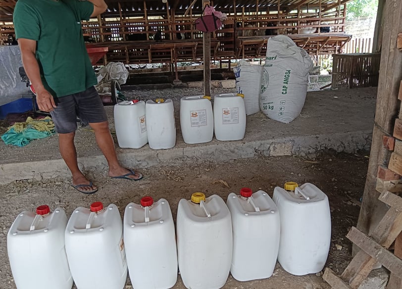 FML digunakan pada kambing