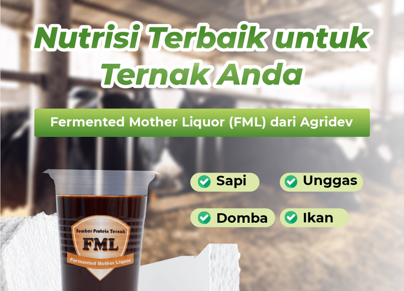 FML asam amino untuk semua ternak